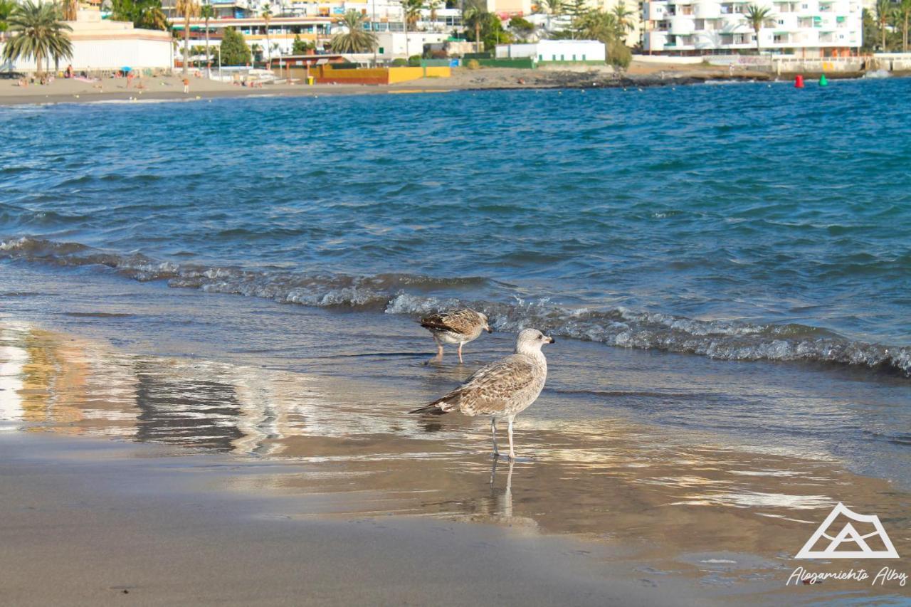 Alojamiento Alby: Oceano Los Cristianos  Dış mekan fotoğraf